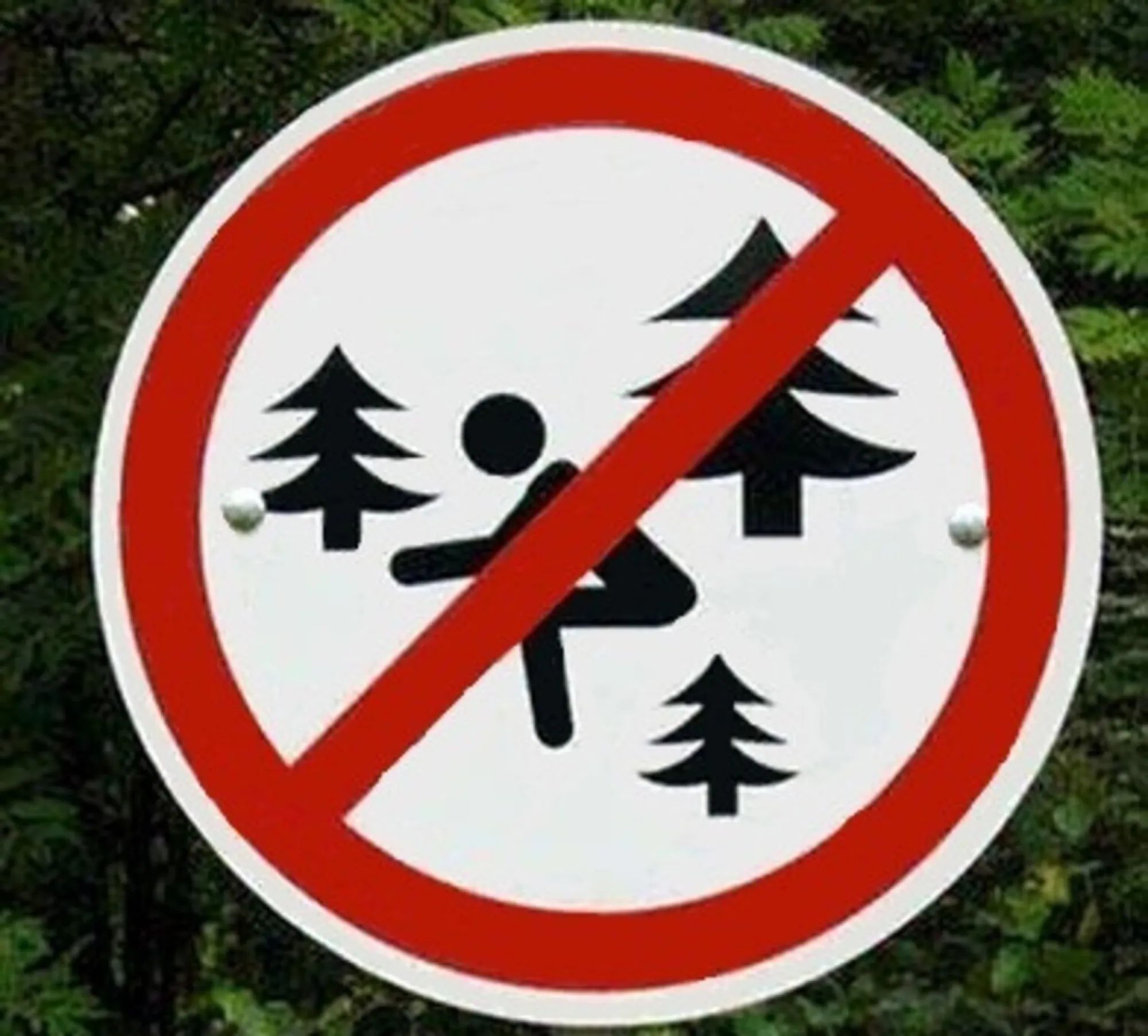 Хорошо в лесу какой знак. Знаки в лесу. Предупреждающие знаки в лесу. Запрещающие знаки в лесу. Знак леса.