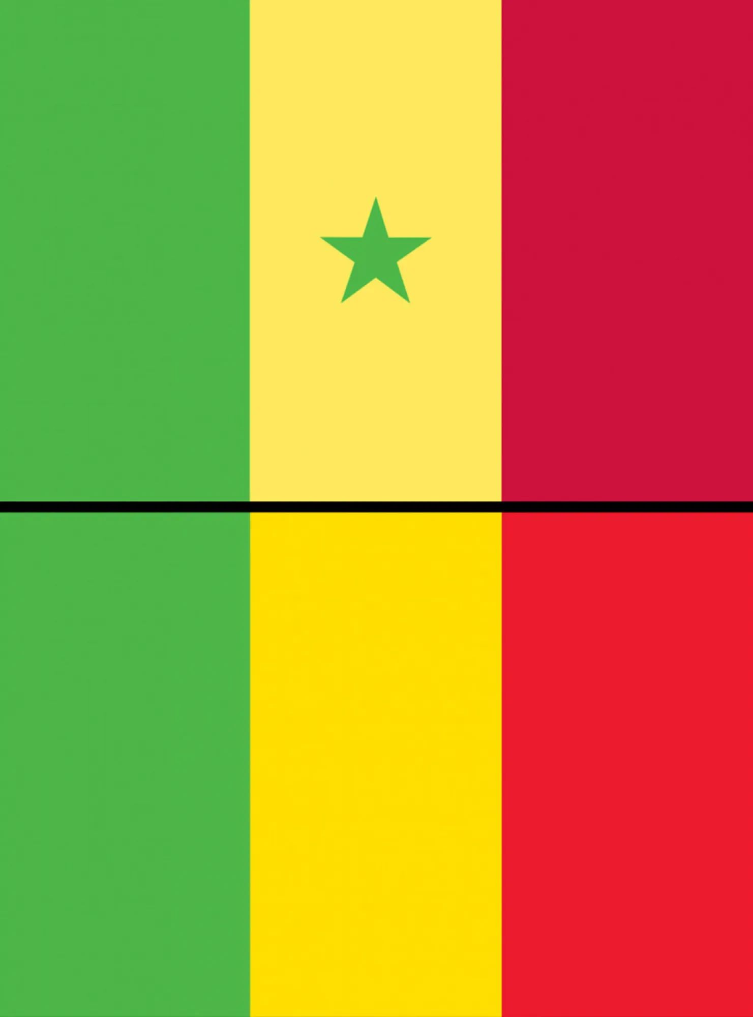 Флаг зеленый желтый зеленый вертикально. Республика мали флаг. Зелено желто красный флаг Африка. Красный желтый зеленый. Флаги с зеленым цветом.