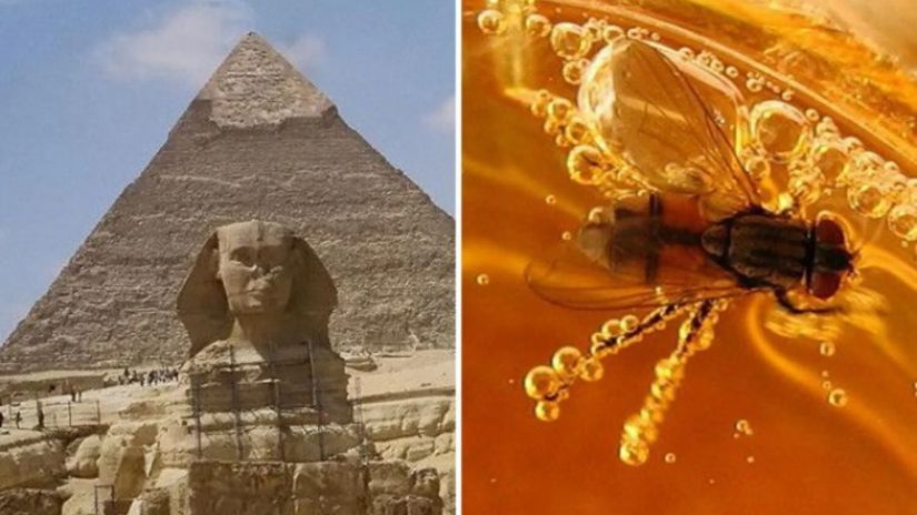 20 უცნაური ფაქტი ძველი
ეგვიპტიდან