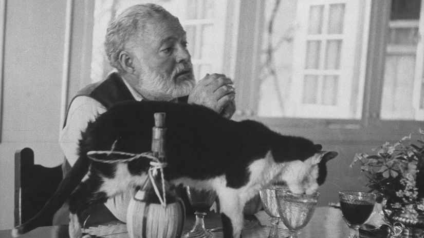 ერნესტ ჰემინგუეი თავის
კატასთან ერთად