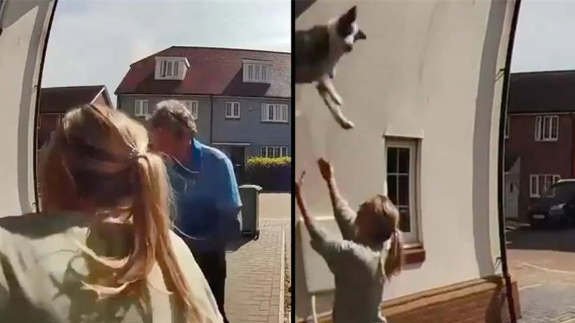 ქალმა ფანჯრიდან
გადავარდნილი ძაღლი
დაიჭირა