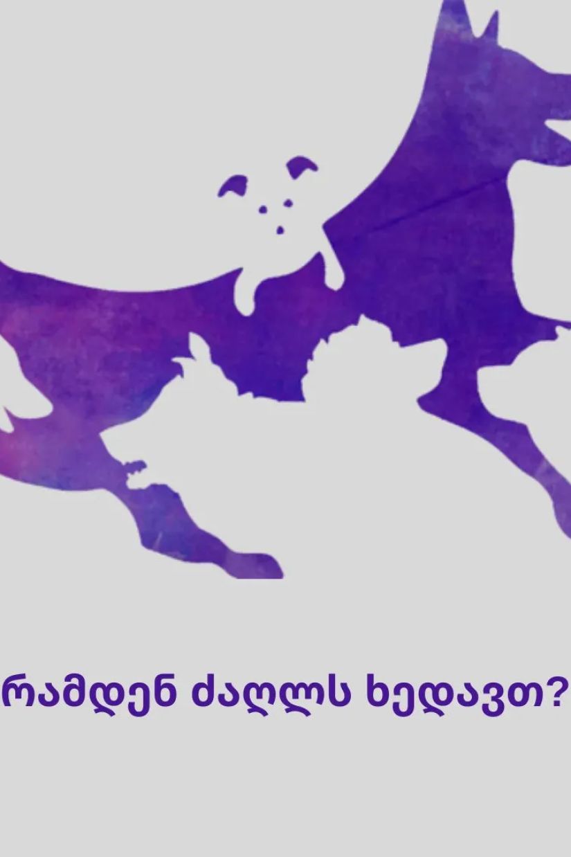 სახალისო ტესტები