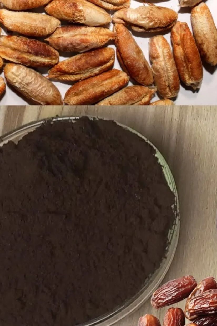 უკოფეინო ყავა ფინიკის
კურკებისგან