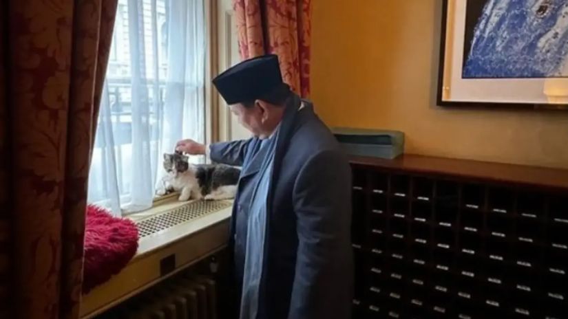 ინდონეზიის პრეზიდენტის
კატა
