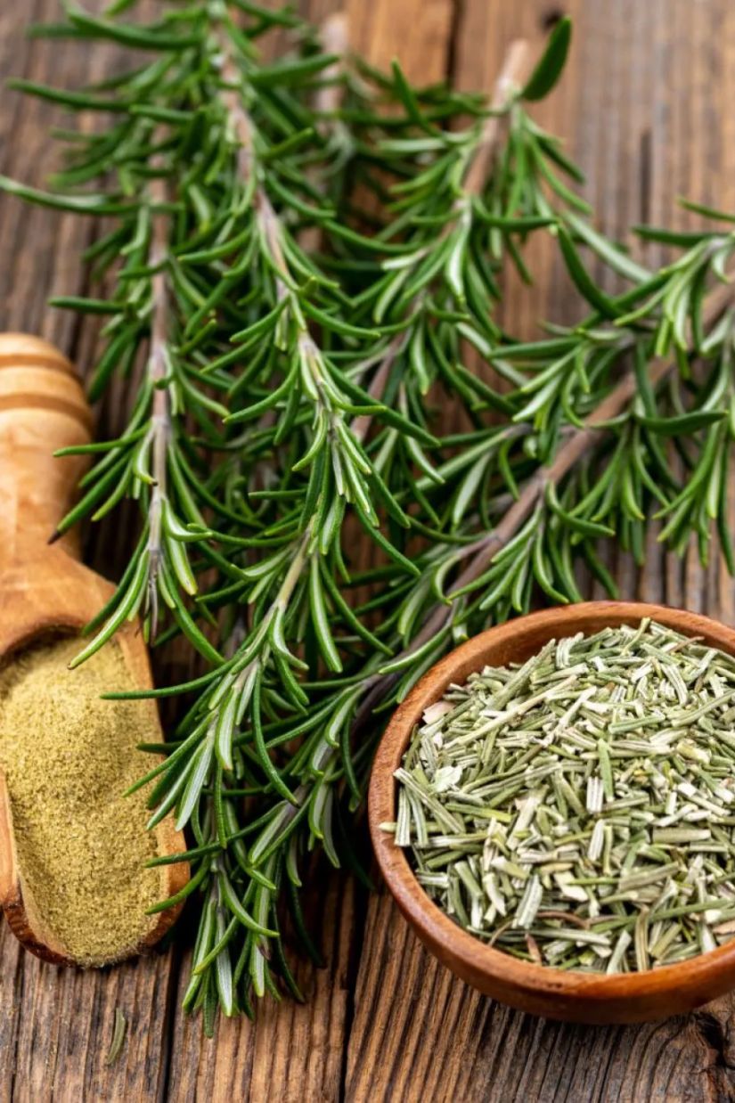 რაში გამოიყენება
როზმარინი