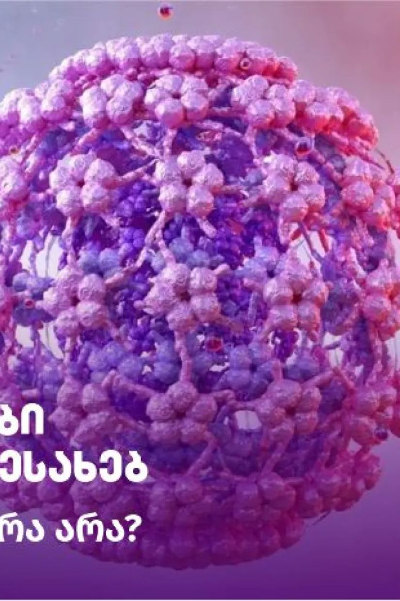 პაპილომა