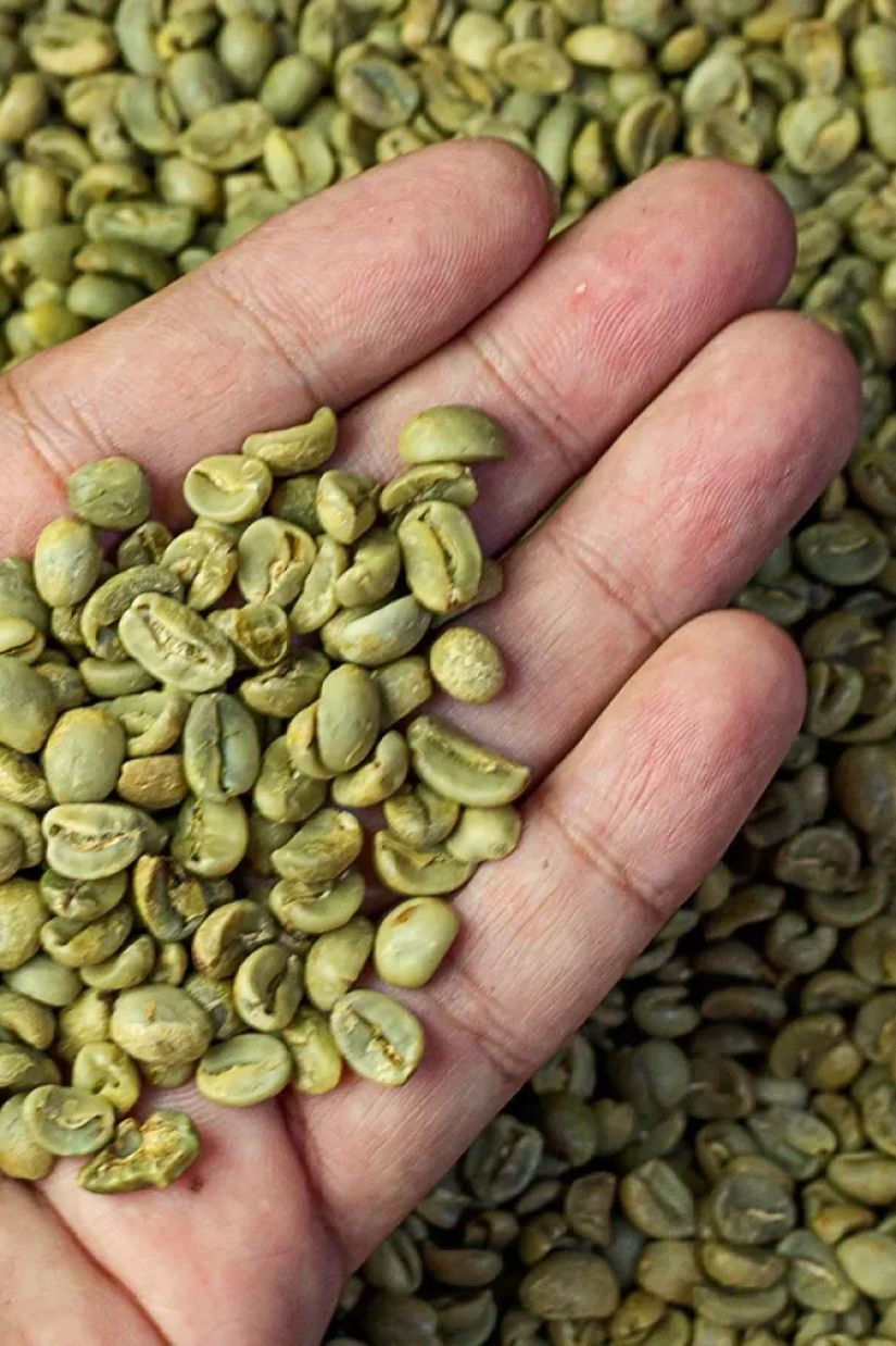 მწვანე ყავა გასახდომად