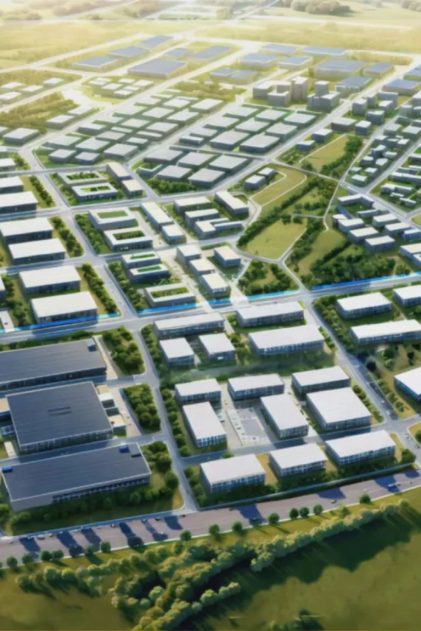 „იანგი ავლოდი“