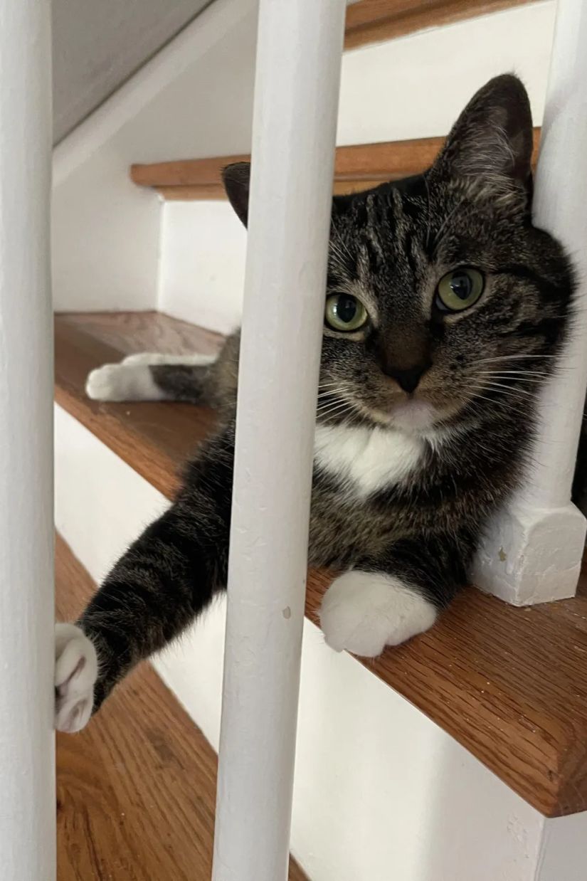 მარტივი ჩვევა, რომელიც
სიცოცხლეს ახანგრძლივებს