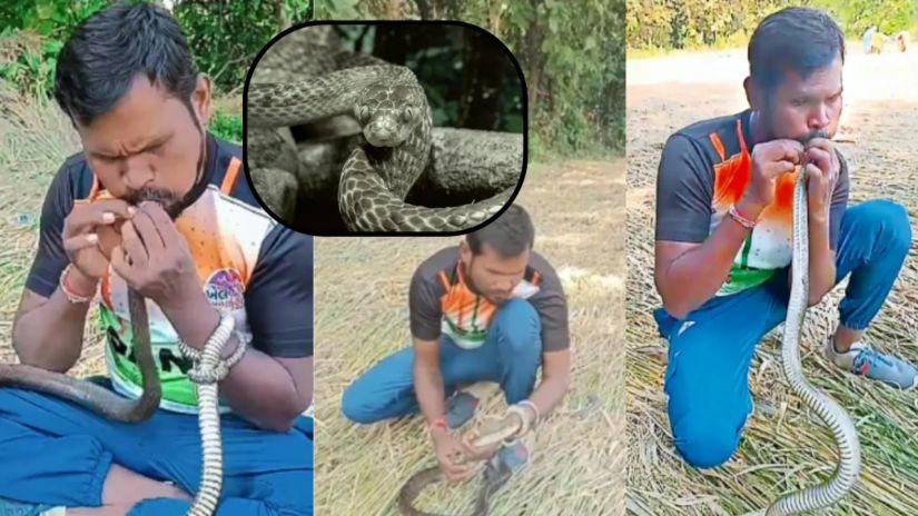 ინდოელმა მაშველმა გველი
ხელოვნური სუნთქვით
სიკვდილს გადაარჩინა