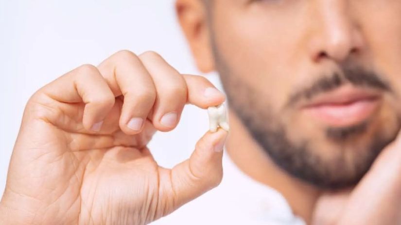 სიბრძნის კბილი და
ღეროვანი უჯრედები