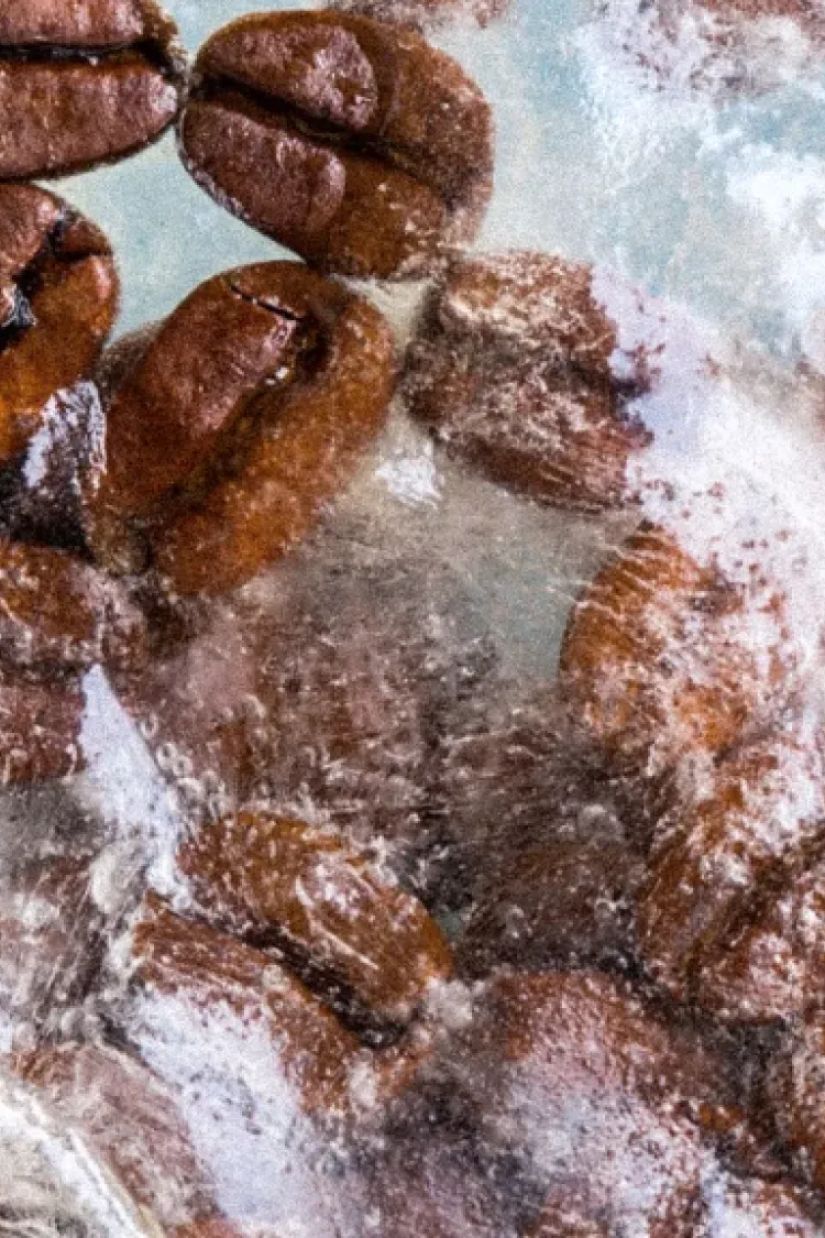 რატომ უნდა გაყინოთ ყავს
მარცვლები