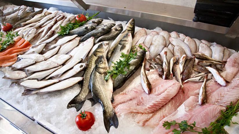 რომელი თევზია ყველაზე
სასარგებლო?