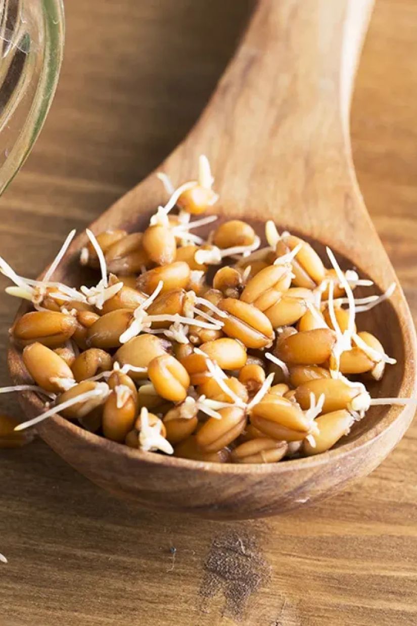 გაღვივებული ხორბალი